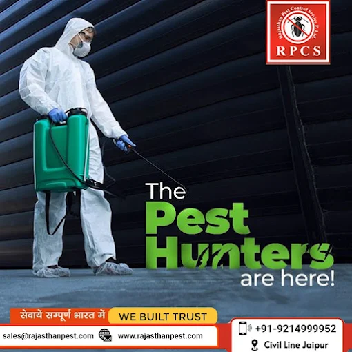 Rajasthan Pest Control Services Pvt Ltd