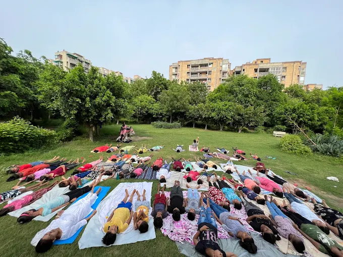 National school of yoga in Delhi