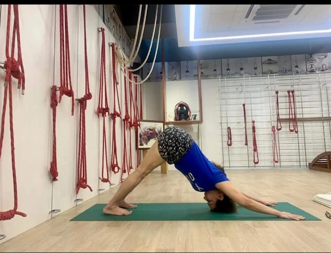 Yoganusasanam