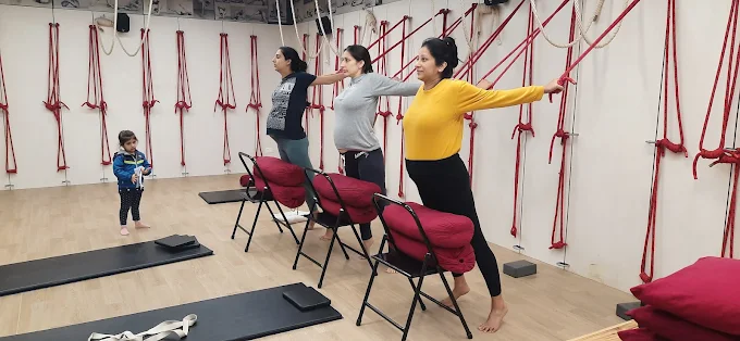 Yoganusasanam