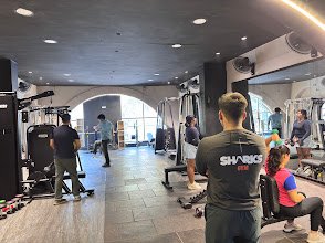 Sharks Gym