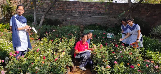 B. R. Birla Public School
