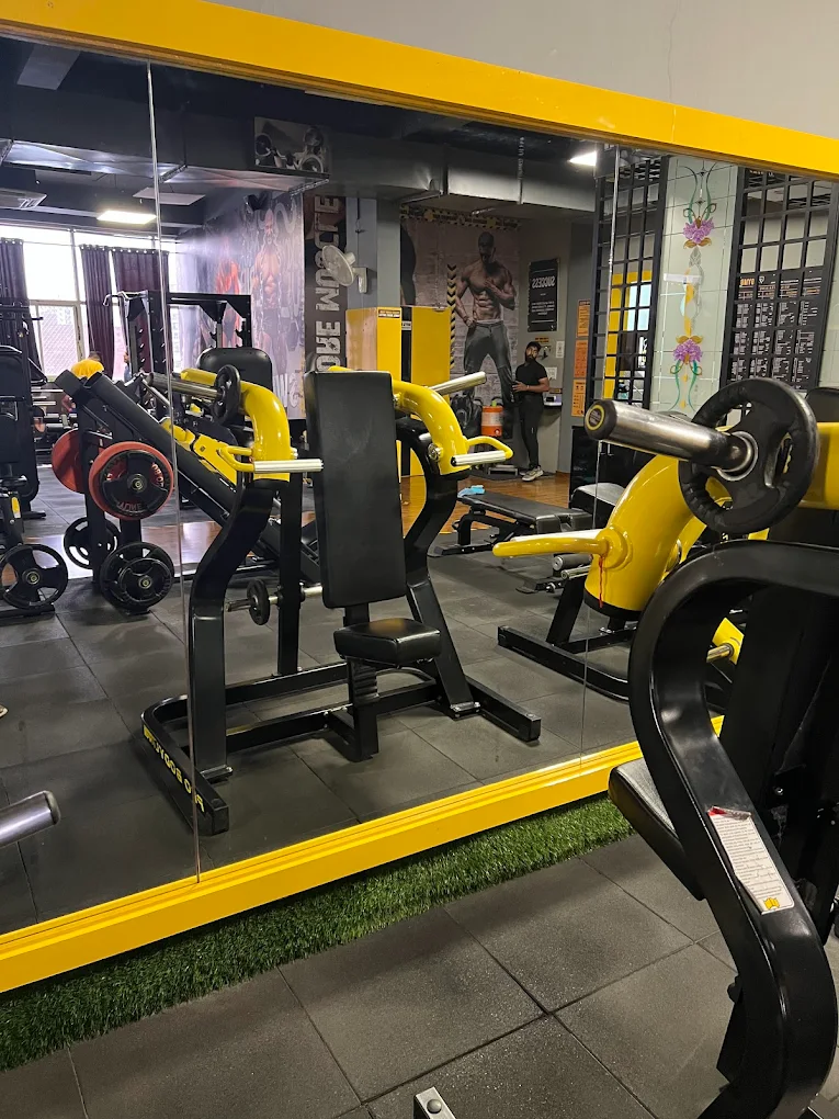 My Gym Box