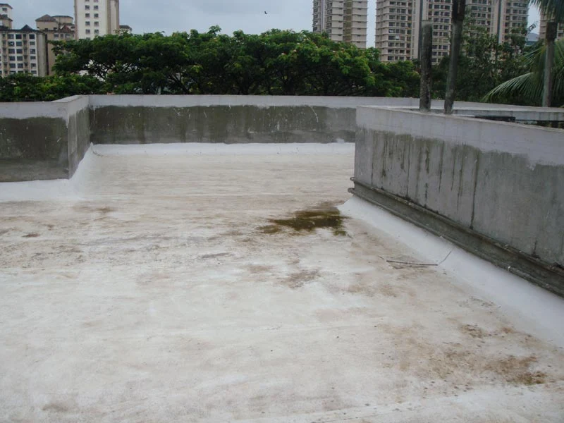 SS Buildcon