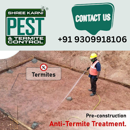Shree Karni Pest & Termite Control Services Jodhpur