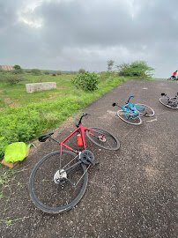 Cycle Market